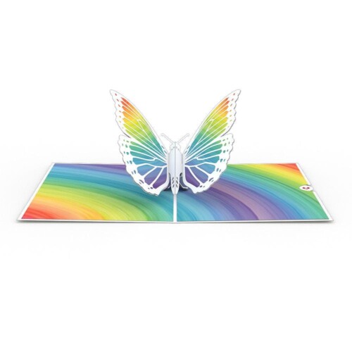 Rainbow Butterfly